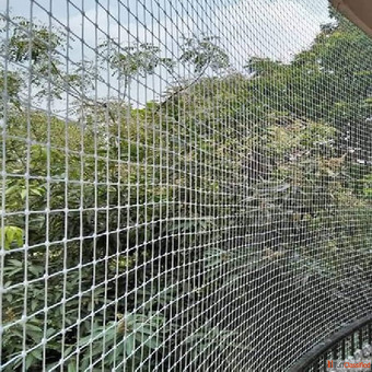 Pigeon safety net installation service in Delhi