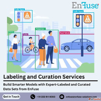 Build Smarter Models with Expert-Labeled Data Sets from EnFu...