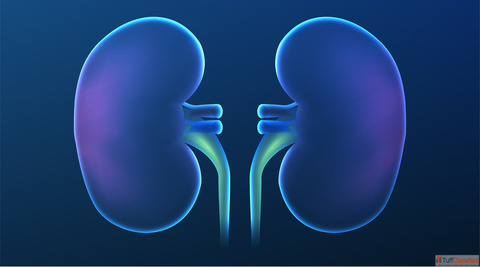 Understanding Kidney Failure Treatment in Homeopathy