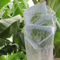 Buy Durable Banana Bunch Cover Bag for Fruit Protection
