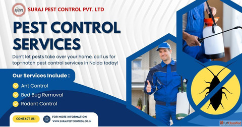 Pest Control Services in Connaught Place