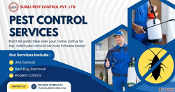 Pest Control Services in Connaught Place