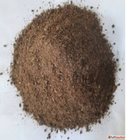 Best Cow Dung Powder Suppliers in Rajkot