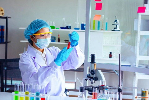 Leading IP EP Impurity Standards Manufacturer in India