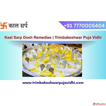 Kaal Sarp Dosh Remedies Trimbakeshwar Puja Vidhi