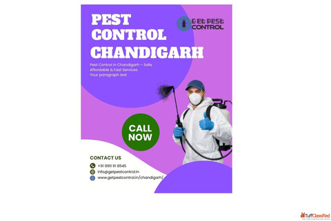 Pest Control in Chandigarh - Safe Affordable Fast Services