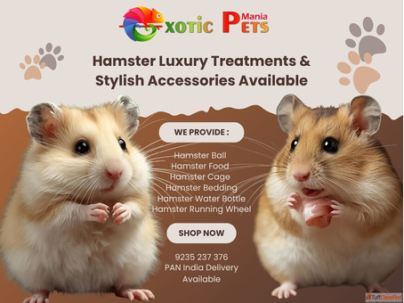 Syrian Hamsters Cage Wheel Food - All in One Place