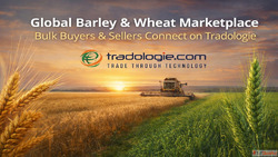 Global Barley Wheat Marketplace - Bulk Buyers Sellers Connec...