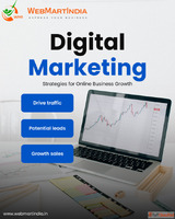 Best Digital Marketing Agency in Delhi Webmartindia