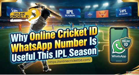 Why Online Cricket ID WhatsApp Number Is Useful This IPL Season