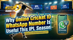 Why Online Cricket ID WhatsApp Number Is Useful This IPL Sea...