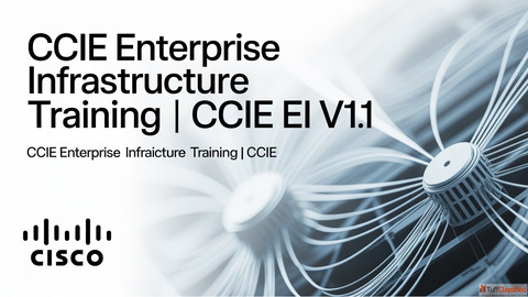 CCIE Enterprise Infrastructure Training CCIE EI v1.1CCIE Enterprise Infrastructure Training CCIE