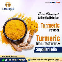 Turmeric powder wholesale supplier India