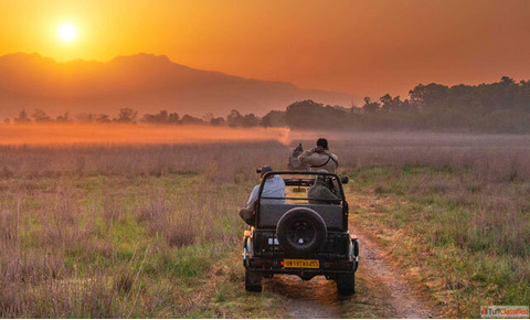 Best Corbett Booking Zones for Tiger Spots Near Top Resorts