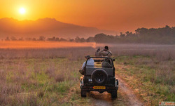 Best Corbett Booking Zones for Tiger Spots Near Top Resorts