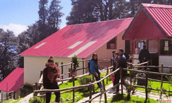 Best place to stay in Narkanda