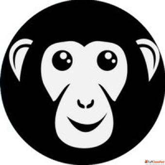 How Bonoboz Helped OPIUM Eyewear Sell Smarter and Scale Faster