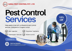 Trusted Pest Control Services in Gurgaon