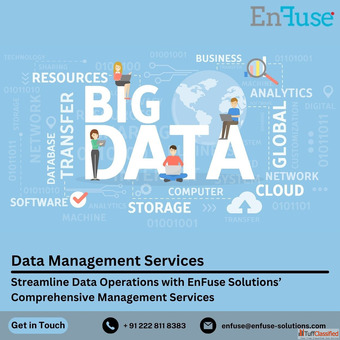 Streamline Data Operations with Comprehensive Management Services