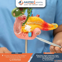 Trusted Acute Pancreatitis Treatment in Ahmedabad - Gastro1 ...