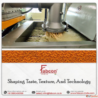 Efficient Ethnic Snacks Fryer for Authentic Taste Consistent...