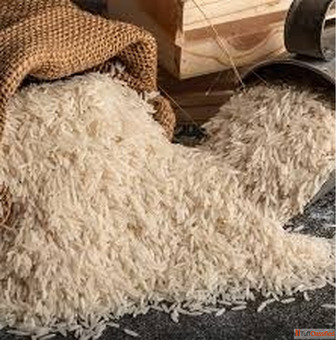 Basmati Rice Suppliers in India