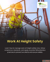 How Can Safety Professionals Effectively Manage Risks When W...