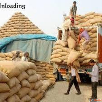 Top Basmati Rice Manufacturers in India - Premium Quality Trusted Excellence