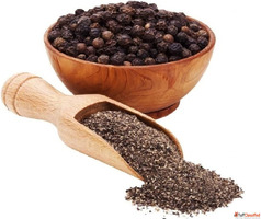 Black Pepper Powder Suppliers in Maharashtra