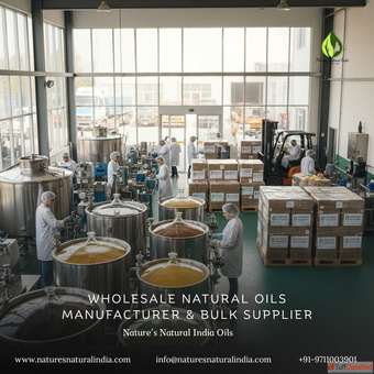Wholesale Natural Oils Manufacturer Bulk Supplier