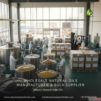 Wholesale Natural Oils Manufacturer Bulk Supplier
