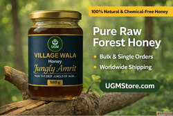 Raw Jungly Honey Wholesale Supplier Bulk Honey for Export Pu...