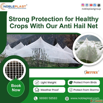 Strong Protection For Healthy Crops With Our Anti Hail Net