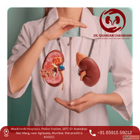 Expert Kidney Stone Treatment in Mumbai - Dr. Chandan Chaudh...