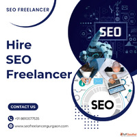 Hire SEO Freelancer for Sustainable Growth SEO Freelancer Gu...