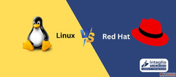 Difference Between Red Hat and Linux
