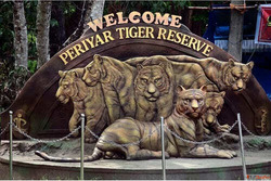 Top Station Mirador Imperdible