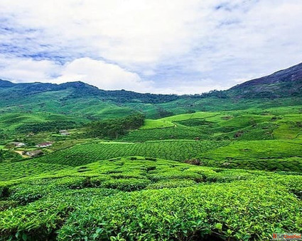 Top Station Mirador Imperdible