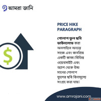 price hike paragraph
