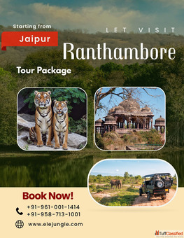 Jaipur Ranthambore Tour Package Covering Forts Palaces and Wildlife