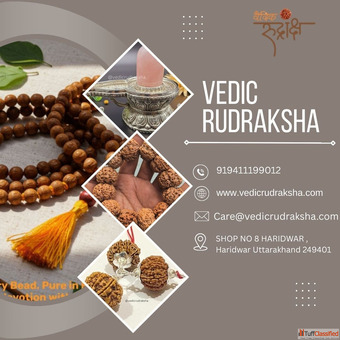 Original Nepali Rudraksha for Sale Authentic Himalayan Treasures