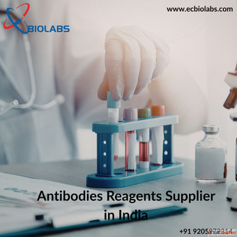 Trusted Antibodies Reagents Supplier in India I EC Biolabs