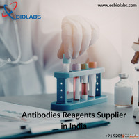 Trusted Antibodies Reagents Supplier in India I EC Biolabs