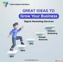 Best Digital Marketing Agency in India for Business Developm...