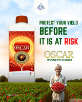 Best Fungicides for Agriculture in India Oscar by NACL