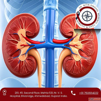 Expert Kidney Cancer Surgeon in Ahmedabad - Dr. Nitin Singha...
