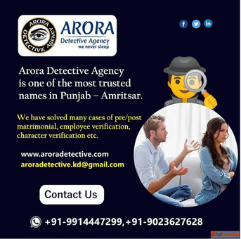 Best Detective in Amritsar