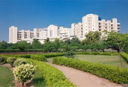 Apollo Hospitals Delhi Sarita Vihar