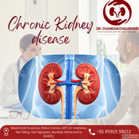 Chronic Kidney Disease Treatment in Mumbai - Expert Nephrolo...