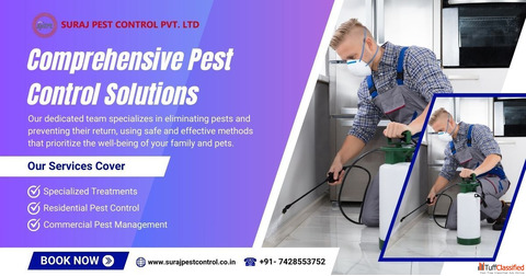 Comprehensive Pest Control Services in Uttam Nagar
